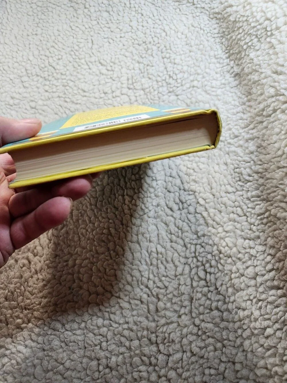 Sophie Kinsella Finding Audrey Hardcover 2015 Doubleday Canada Dust Jacket - Picture 12 of 14